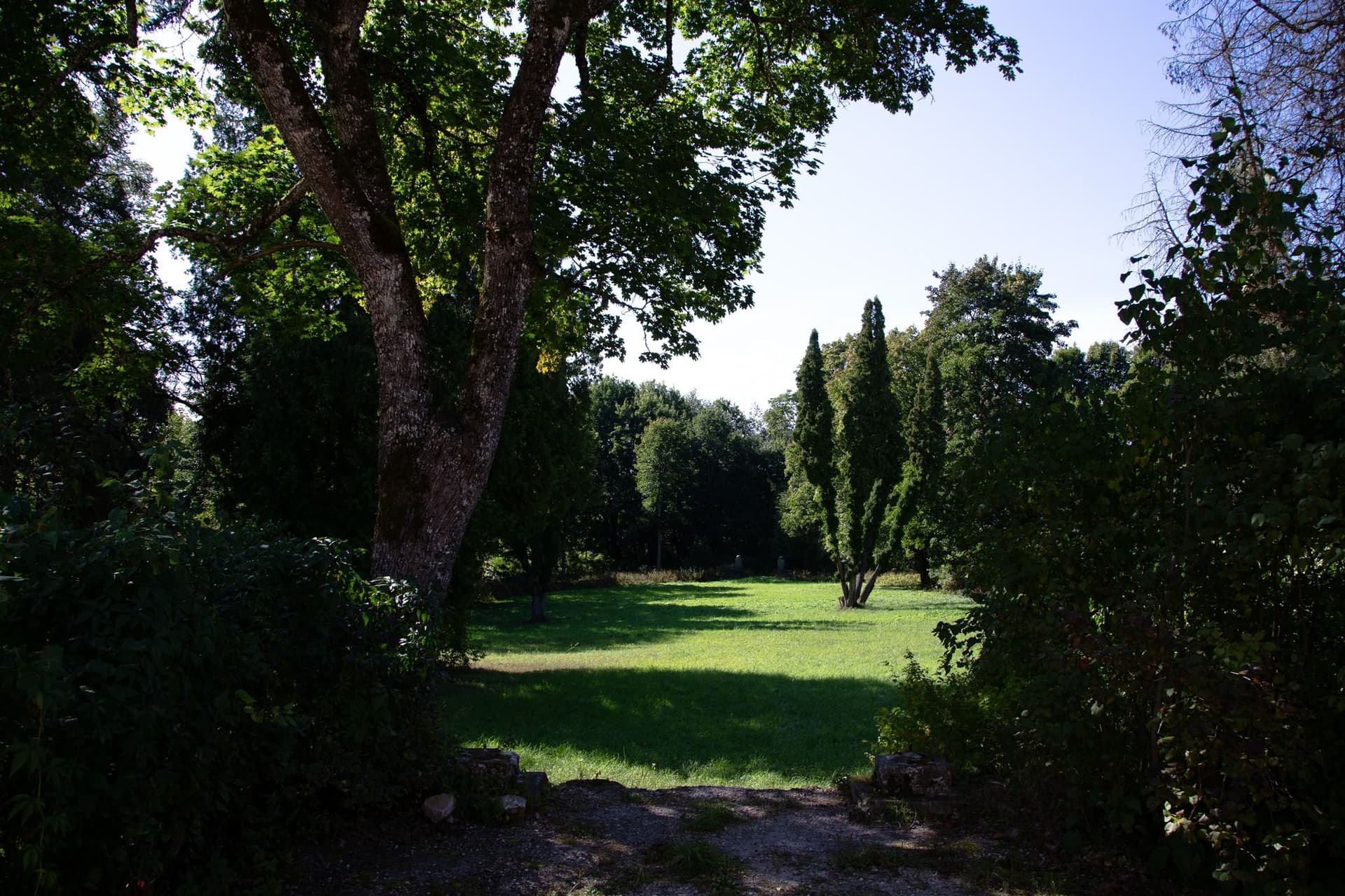 Vietos nuotrauka 2